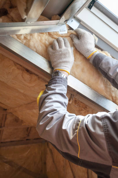 Best Garage Insulation Installation  in Comanche, TX