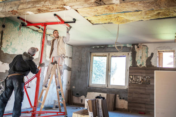 Best Insulation Replacement Services  in Comanche, TX