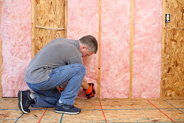 Best Insulation Contractors for Homes  in Comanche, TX